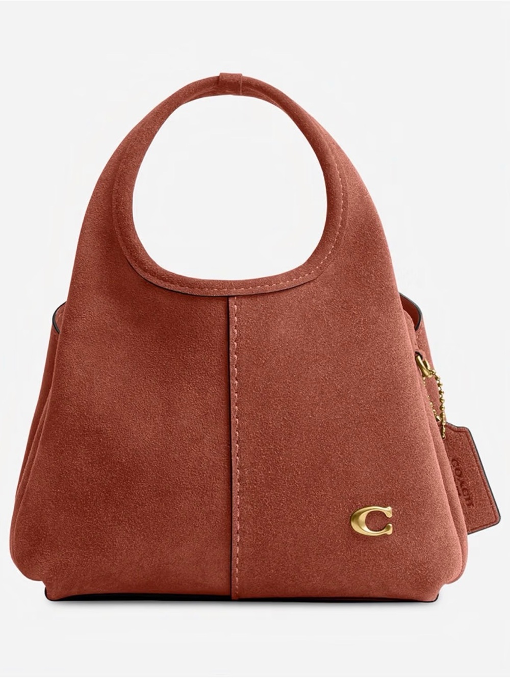 Coach Lana mini Suede shoulder bag 19